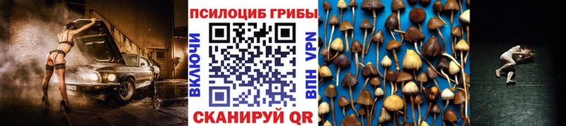 Купить закладки  Камешково  Псилоцибиновые грибы прущие грибы 